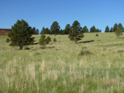 Kiowa Land